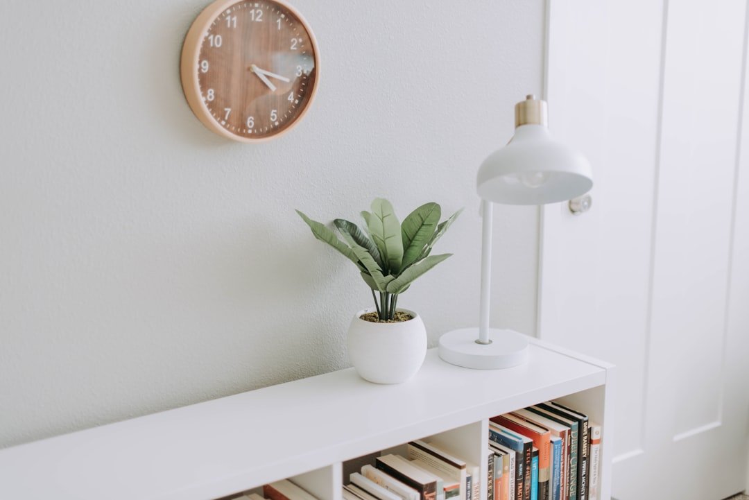 Minimalist decluttered clean shelf styling