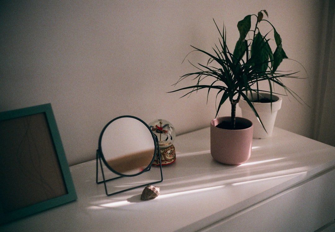 Potted plants softening a living room corner