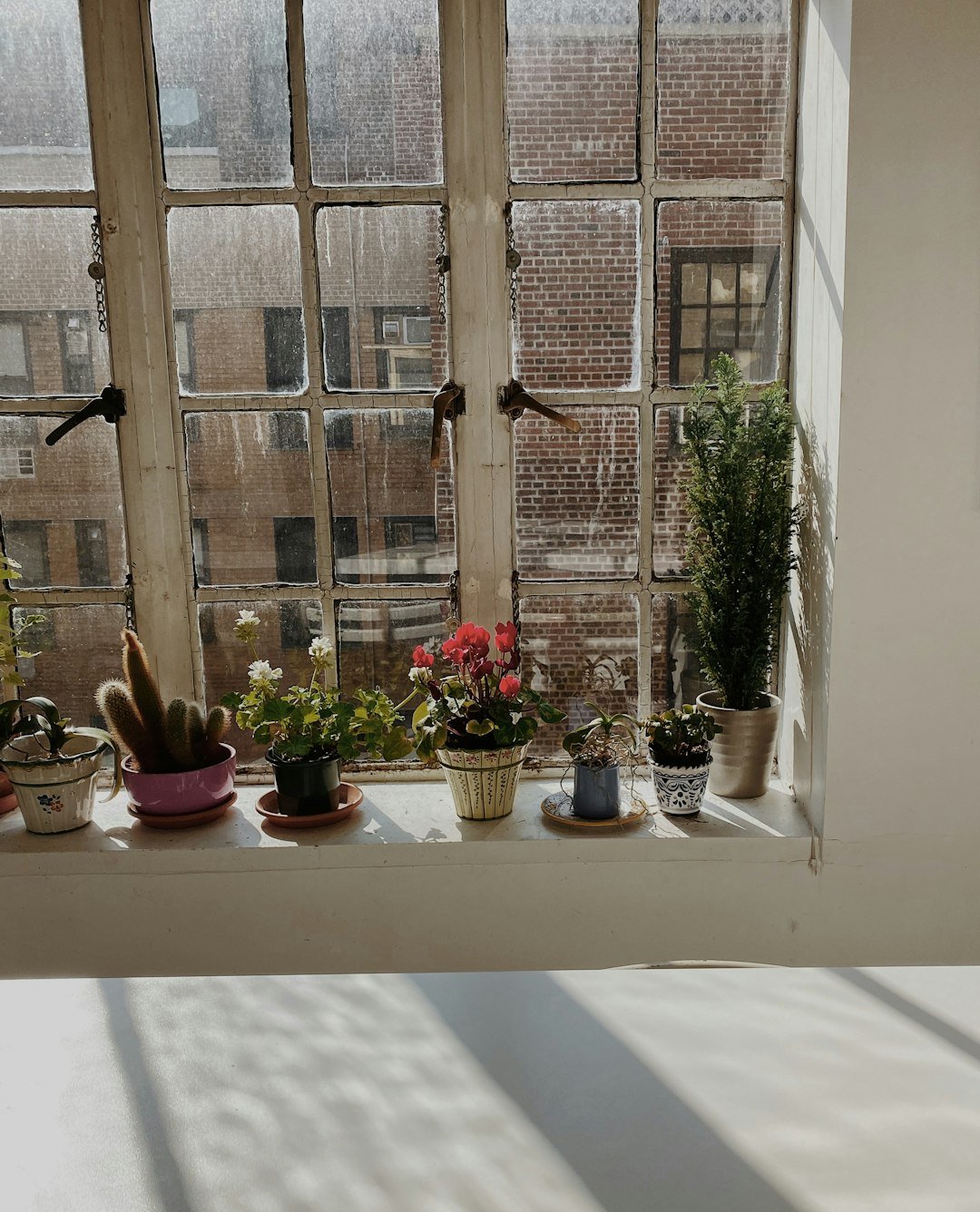 Small plant on a bedroom windowsill