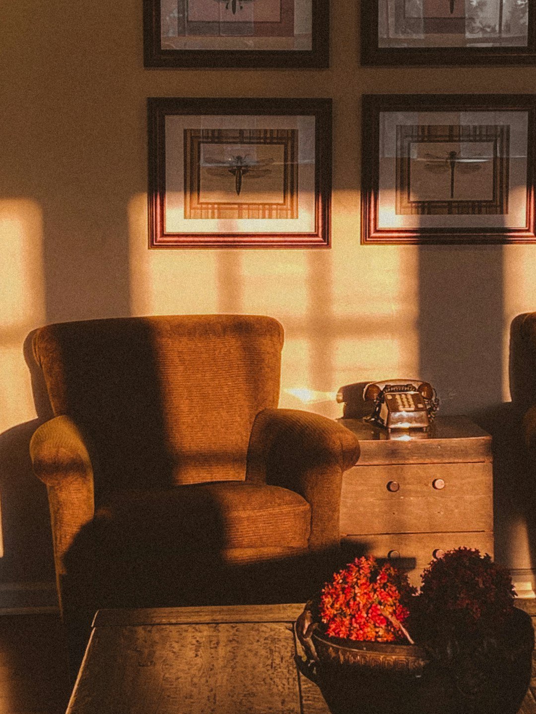 Warm terracotta and cream cozy living room