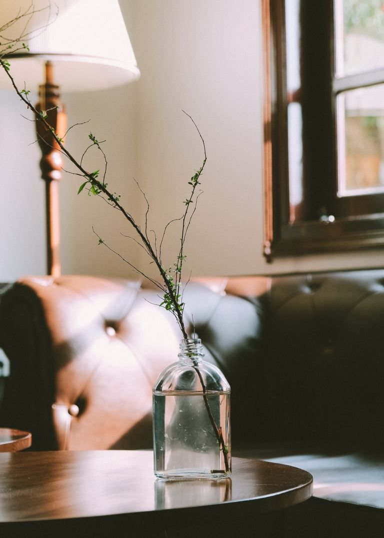 A tranquil living room featuring a glass vase with branches, leather sofa, and natural light.