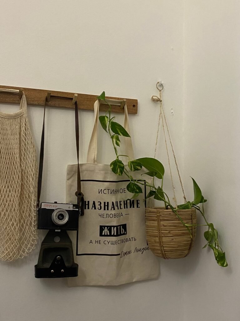 Wall hooks holding a tote bag, a vintage camera and a small potted plant — vertical storage ideas
