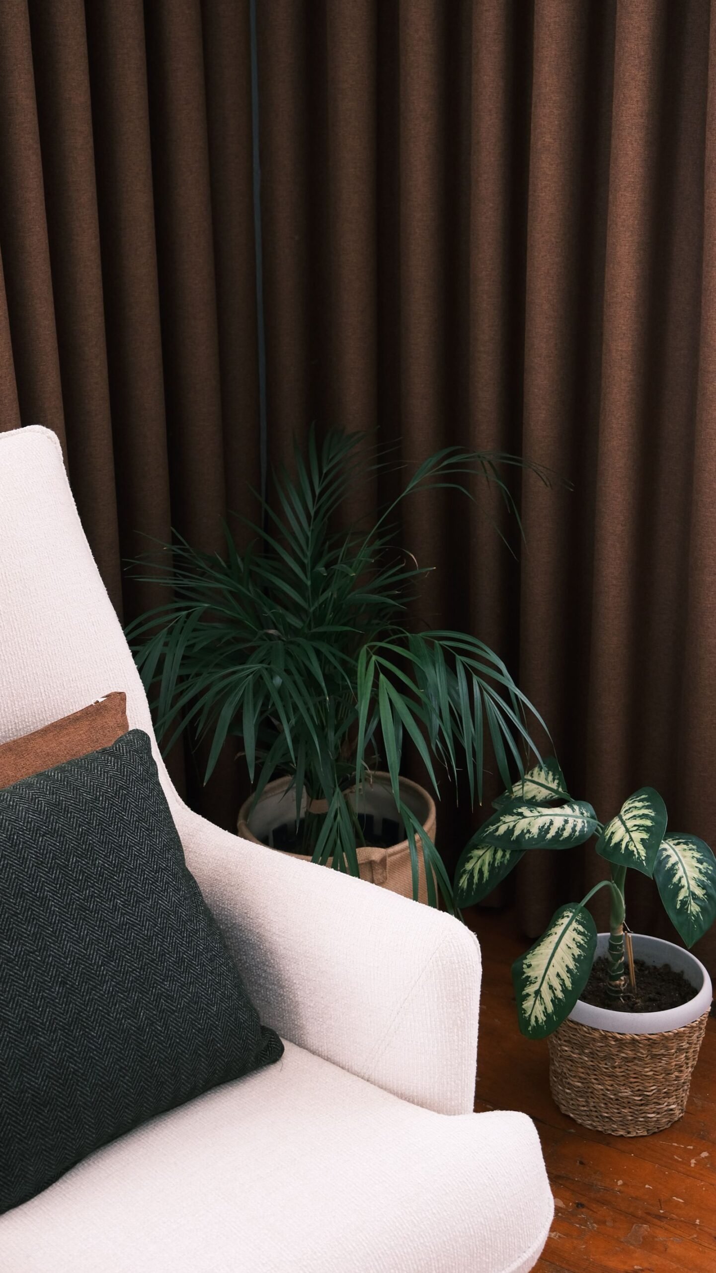 Elegant corner with houseplants and a comfortable armchair