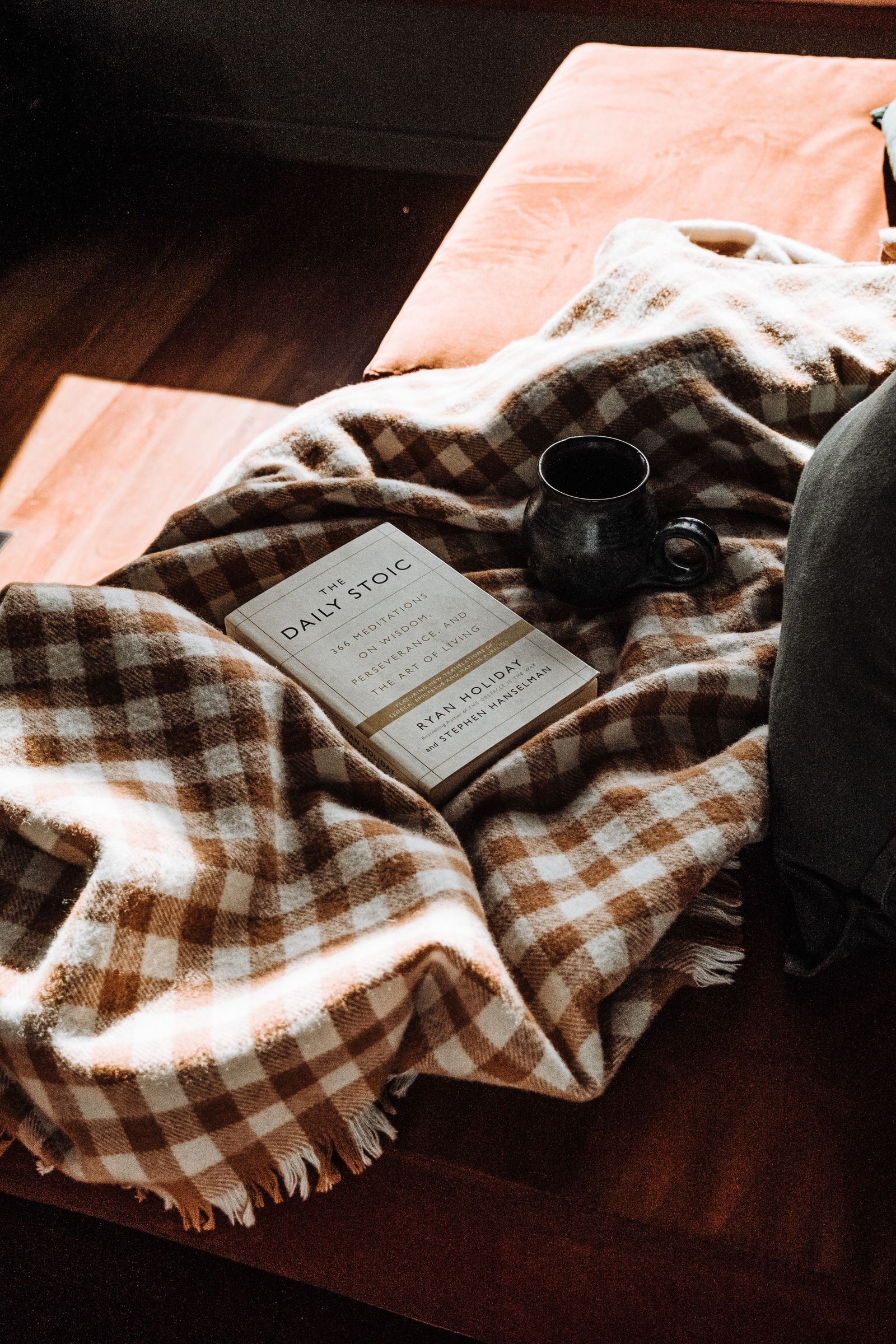 Open book and coffee mug on a checkered blanket in a warm nook